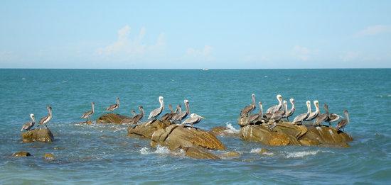 South Beach